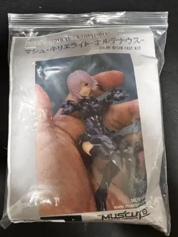 muscuto 마슈 키리에라이트 올테나우스 FGO 레진 키트