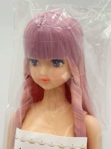 카오리짱 리카짱 캐슬 오타노시미 인형 제니 프렌드 핑크 계열