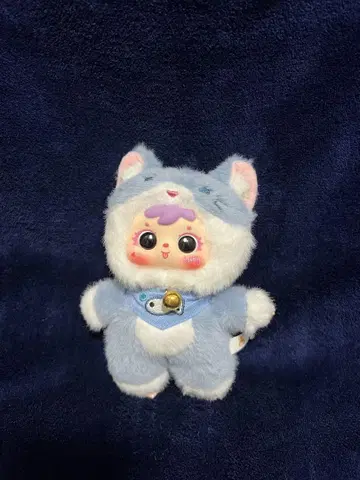 사뮈엘 고양이 시리즈 (블루)