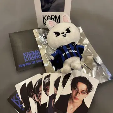 straykids KARMA skzoo 리빗 리노