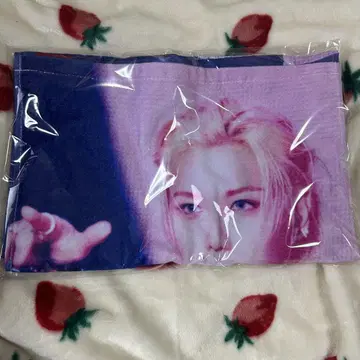 straykids 라이브 사진 타월 필릭스