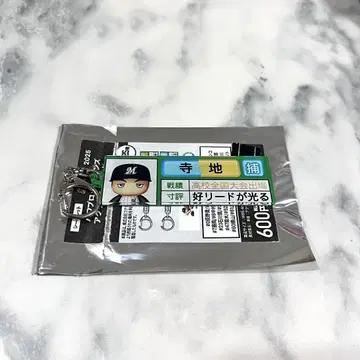 지바 롯데 마린스 영광 나인 테라지 류세이