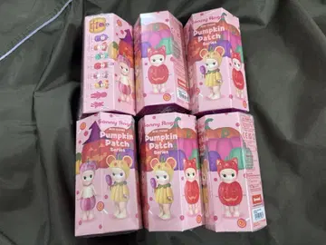 소니엔젤 펌킨패치 모듬 박스 6개입