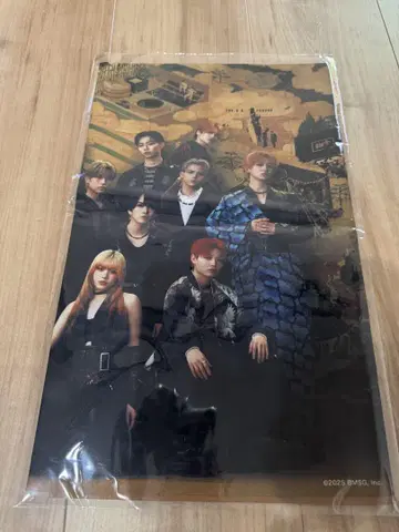 BMSG 페스티벌 2025 메가 캡슐 패브릭 포스터