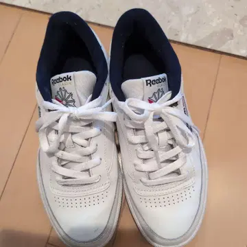 리복 클럽 C 85