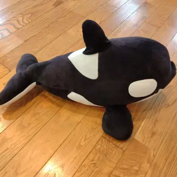 스마 시월드 봉제 인형 범고래 빅 대형