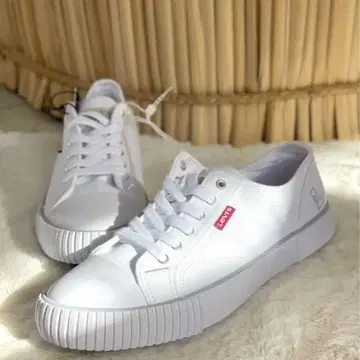 미사용 새상품 리바이스 Levi's 화이트 캔버스 스니커즈 일본 미발매