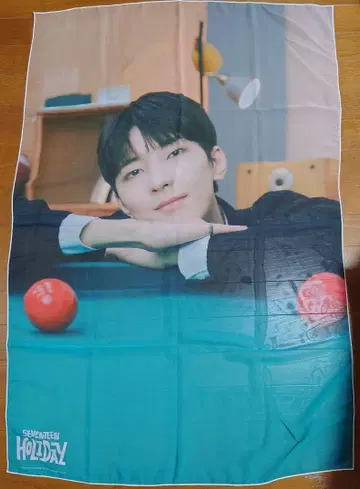 패브릭 포스터 원우 WONWOO HOLIDAY seventeen