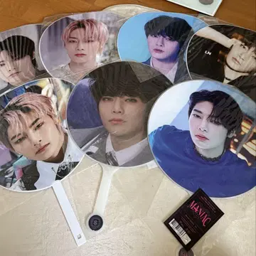 straykids 아이엔 부채 묶음 판매
