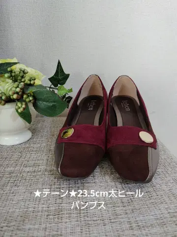 테인 버건디와 브라운 펌프스