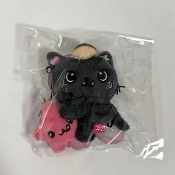 nct wish 리쿠 fanlight keyring 미니 인형