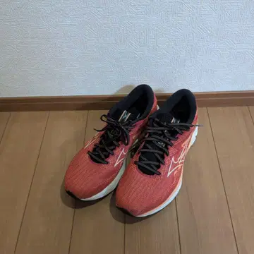 미즈노 MIZUNO 웨이브 라이더 27.0cm