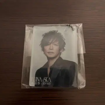 LUNA SEA INORAN 부활제 랜덤토이 아크링 키링