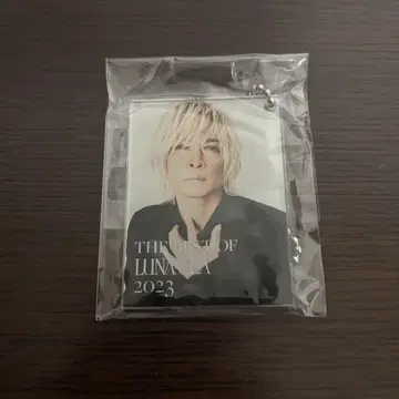 LUNA SEA INORAN 랜덤 아크릴 키링