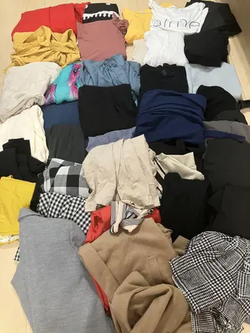 L 사이즈