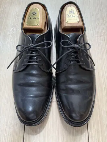 Alden 알든 9901 빔즈 별주 8.5D 코도반