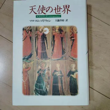 천사의 세계 말콤 요윈 저