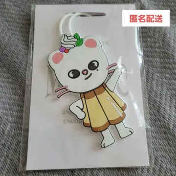 [ 새상품 ] 스키즈 지니레트 러기지 택