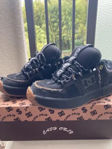 DC lynx cash only