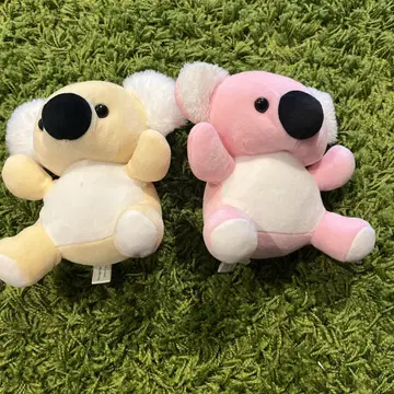 CUTE 코알라 봉제 인형 세트 해피즈