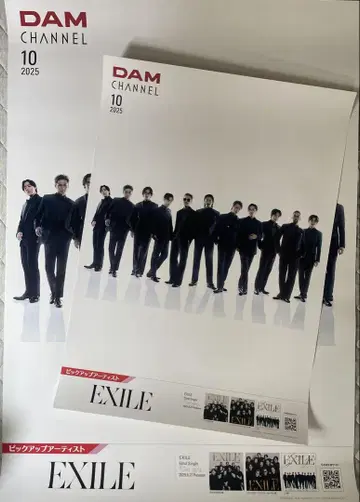 DAM CHANNEL [ EXILE 포스터 2장 세트 ]