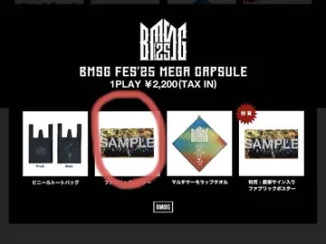 BMSG 페스티벌 2025 메가 캡슐 패브릭 포스터