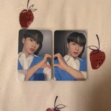 WEi 김준서 트레이딩 카드