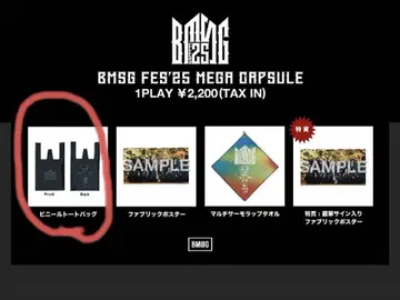 BMSG 페스티벌 2025 메가 캡슐 비닐 토트백