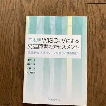 WISC-IV에 의한 발달 장애의 평가