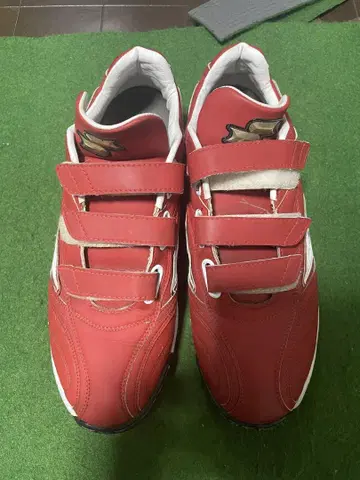 Probat 트레이닝 슈즈 빨간색