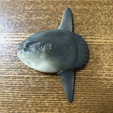 아니아 만보