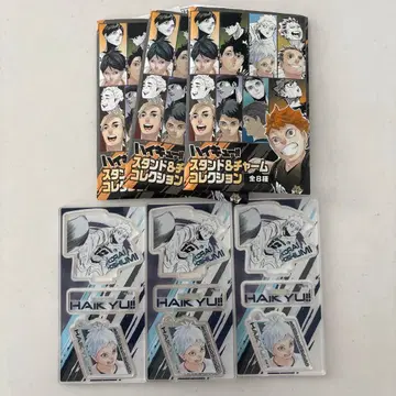 하이큐 스탠드 참 컬렉션 호시우미 코라이