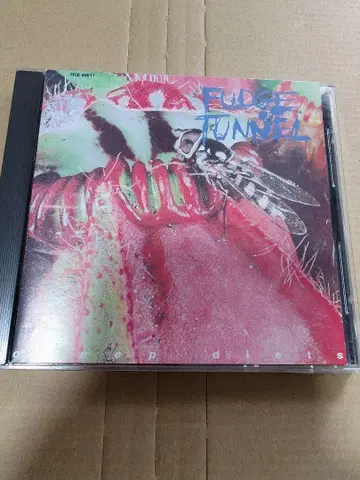 FUDGE TUNNEL / Creep Diets 일본 국내반 단종