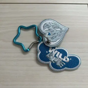 WILDBLUE 와펜 키링