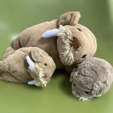 바다코끼리 모자