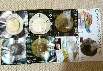 네이처 테크니컬러 후지츠보 극피동물