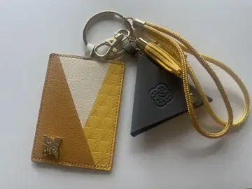 USJ 귀멸의 칼날 아가츠마 젠이츠 패스 케이스