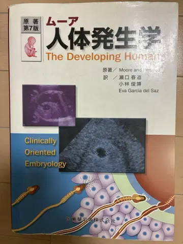 무어 인체 발생학