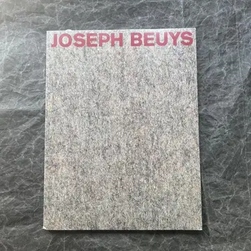 Joseph Beuys [ with Fat and Felt ] 아트북
