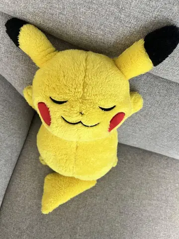 피카츄 봉제 인형 포켓몬