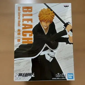 BLEACH 쿠로사키 이치고 Soul Entered Model
