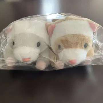 축 늘어지는 롱 페렛 스르륵 라떼쨩