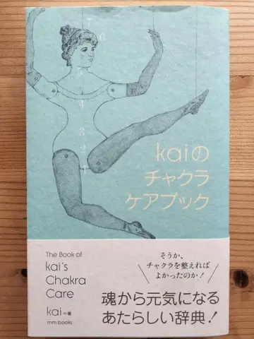 kai의 차크라 케어북
