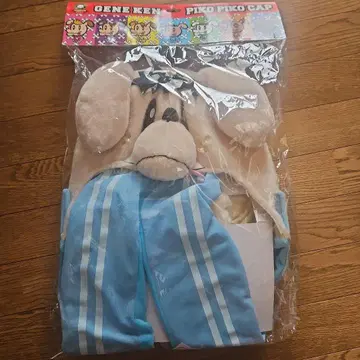 제네견 피코 피코 캡 카즈하라 류토