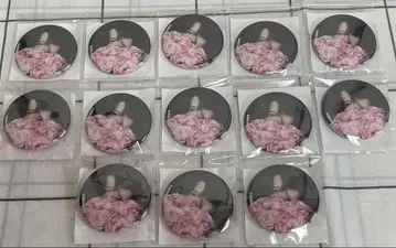 사토미 군 앨범 애니메이트 특전 캔뱃지 실사
