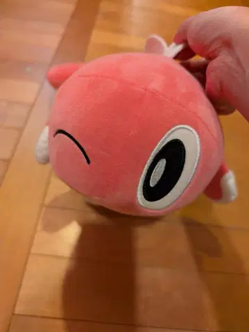 새상품급 포켓몬 엄청 푹신 봉제 인형 ~샤리타츠~