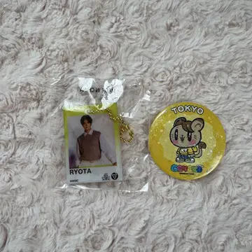 카타요세 료타 가챠 제고양이 캔뱃지 클리어 참 세트