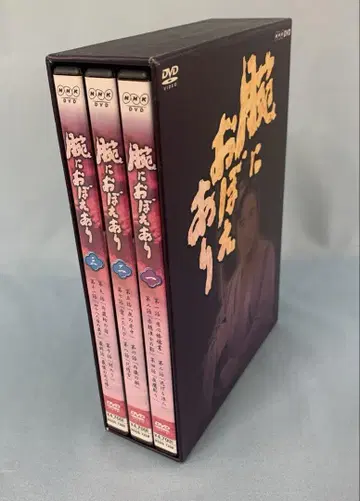 팔에 기억 있음 DVD-BOX