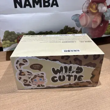 CRYBABY Wild but Cutie 폰 참 모듬 박스