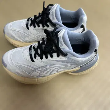 PUMA/푸마/벨로퍼시스 EARTH/푸마 24cm